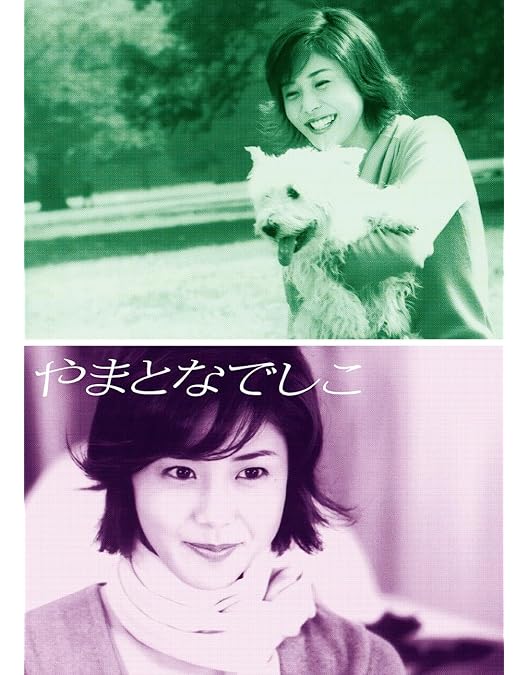 Amazon.co.jp: 恋ノチカラ4巻セット [DVD] : 深津絵里, 堤真一, 矢田